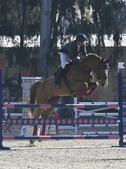 A rider and horse clear a wide oxer during the NEC Jumping competition. We prepare our students for various types of obstacles they will face in competitive show jumping.