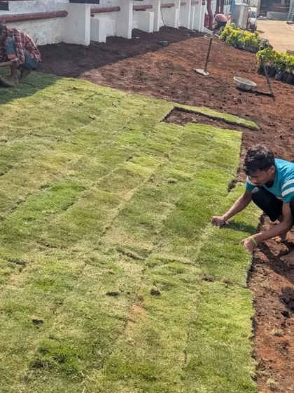 A team member carefully places squares of turf, patching together a beautiful new lawn.