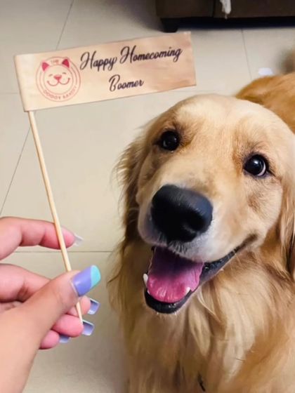 A "Happy Homecoming" flag for Boomer the Golden Retriever. We love celebrating the moment a dog joins their forever family.