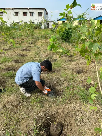 Members of Rotaract and ITBP working side-by-side. These images capture the spirit of community service, where diverse groups unite for a single, positive goal: a greener environment.