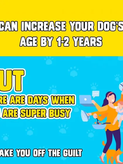 We know you want the best for your dog, but there are days when you are super busy with life's demands. We're here to take away the guilt by providing reliable transport, so your pet never misses out on care or fun.