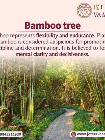 Joteer Vaastu - Astrological Consultation Vaastu Harmony with Nature photo 3