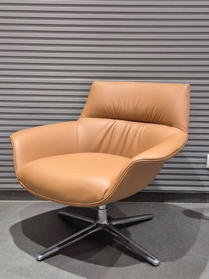 Lounge & Accent Chairs photo 26