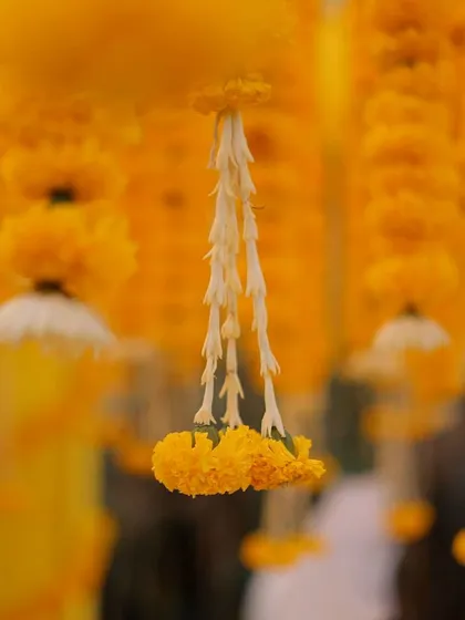 A close-up of a hanging marigold and tuberose 'kaleera', a beautiful and traditional detail for a Haldi ceremony.