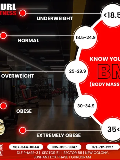 Knowing your BMI (Body Mass Index) is a good starting point for understanding your health. This chart helps you see where you fall on the scale.