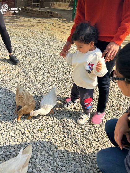 On a field trip to a local farm, children get to interact with animals up close. Feeding a goat, watching ducks, and petting a donkey teaches empathy, respect for living things, and overcomes apprehension.