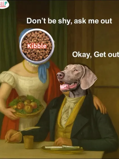 A little historical humor to make a point. If your dog could talk, they'd tell kibble to get out. They deserve real food, not dry drama.