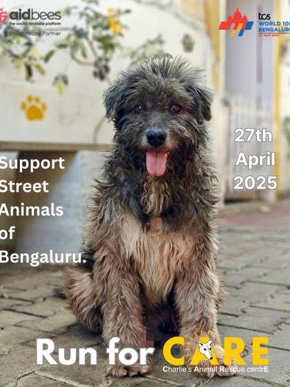 Charlie's Animal Rescue Centre - Community Outreach & Education Community Fundraising Events photo 24