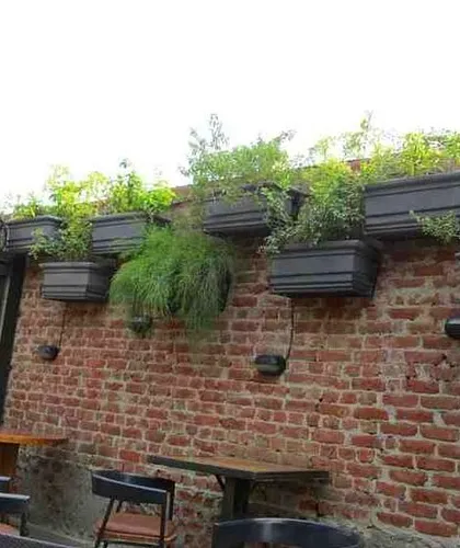 A simple yet effective greening solution for a pub in Gurgaon. I installed a series of planters along the top of this rustic brick wall, adding a touch of green that softens the industrial feel of the space without taking up any floor area.