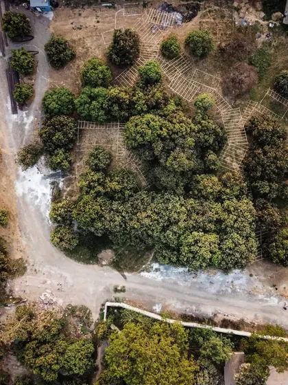 An aerial view of the bamboo mock-up, showing how the proposed structure interacts with the topography and existing mango trees. This process is crucial for designing in harmony with the site.