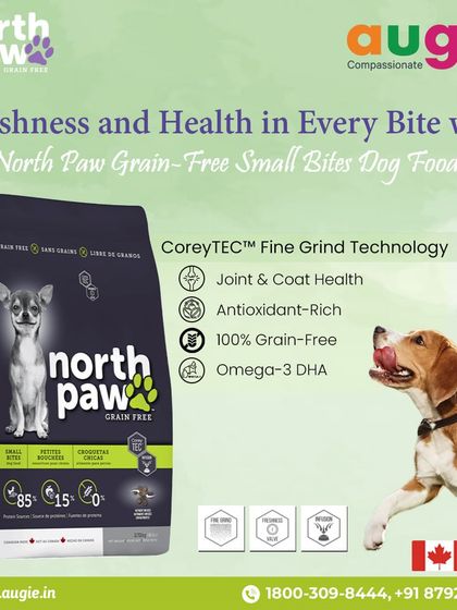 Augie Pets - Pet Supplies Fuel for Happy Hounds: Wholesome Dog Nutrition photo 5