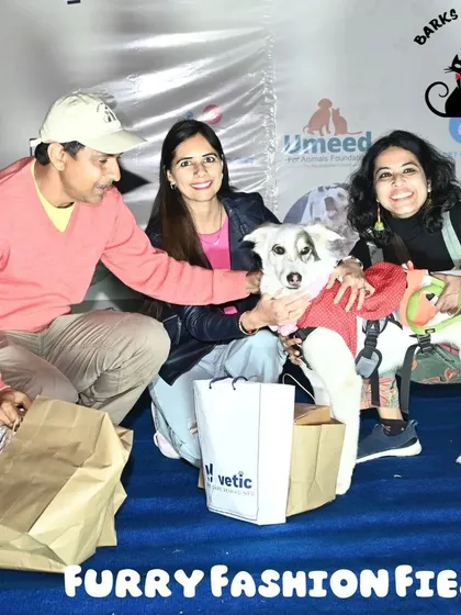 Celebrating the winner of the Furry Fashion Fiesta. It's always a joy to see the proud parents and their beautifully dressed pets receiving their prizes.