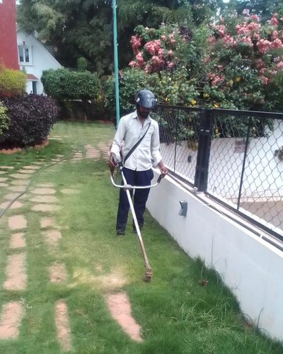 Lawn Care