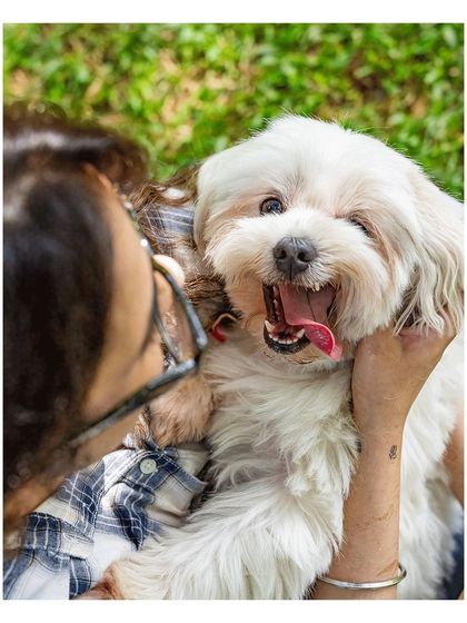 Pawparazzi By Prathima - Pet Milestone Photography The Unspoken Bond: Quiet Moments photo 10