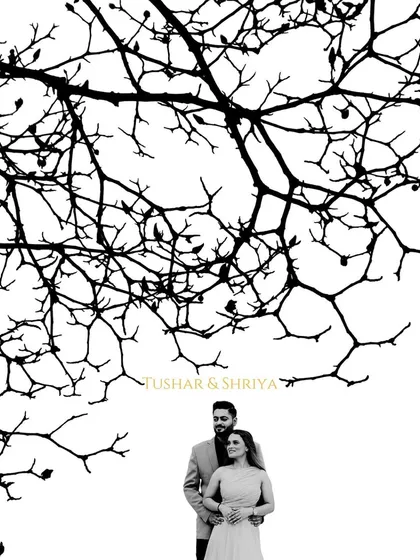 A minimalist yet powerful black and white pre-wedding portrait. The stark contrast of the tree branches creates a beautiful, artistic frame for Tushar and Shriya, highlighting their connection.