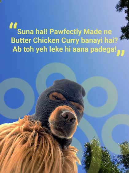 "Suna hai Pawfectly Made ne Butter Chicken Curry banayi hai? Ab toh yeh leke hi aana padega!" Even the neighbourhood toughie can't resist.