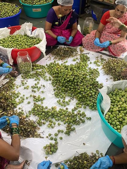 We are in the final leg of the pickling season, and the team is busy prepping this year's best achaar. Here they are working with Gunda, a special vegetable from Gujarat, to create a traditional favourite.