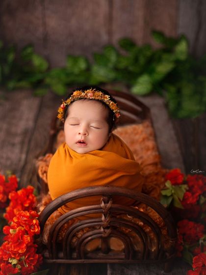 Another angle of our baby girl in a tiny bed, this time surrounded by vibrant red flowers. The wooden backdrop adds a rustic, earthy element to the portrait.