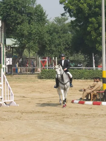 A rider and his grey horse looking composed after a round at an EFI Show Jumping event. Horsemanship and post-ride care are integral parts of our program.