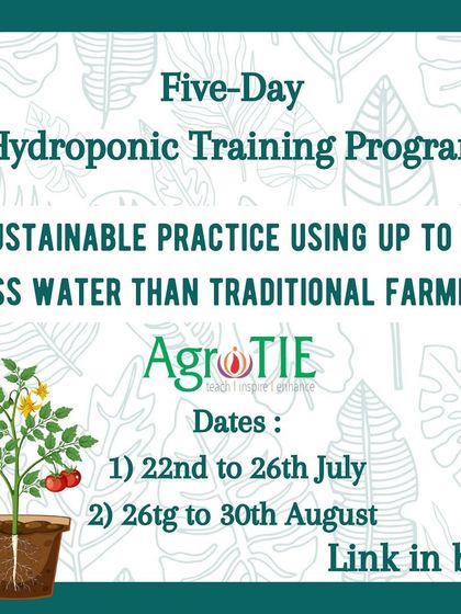Our five day hydroponic training program is a sustainable practice that uses up to 90% less water than traditional farming. Join us to learn more.