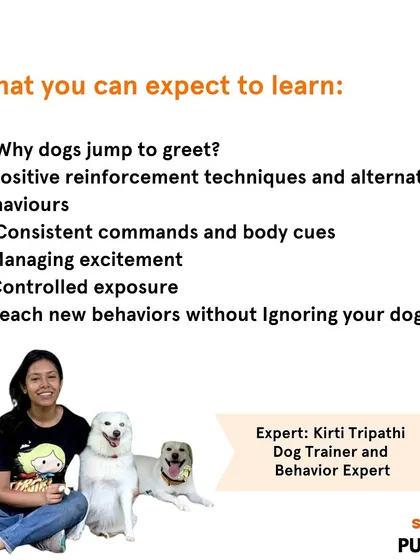 In my "Greet Without Jumping" PupTalk, I cover the reasons why dogs jump and provide positive reinforcement techniques to teach alternative behaviors. This slide details the curriculum, from managing excitement to using consistent cues.