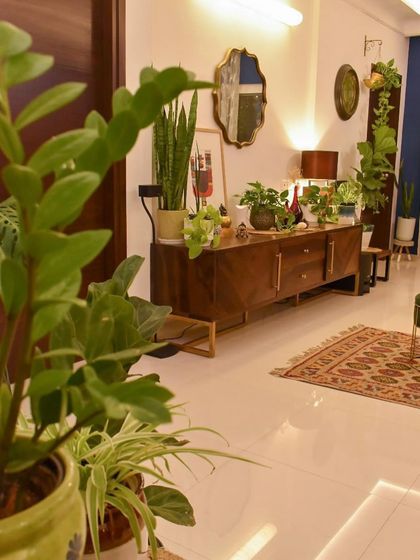 Sushmita - Home Styling & Decoration My Green Sanctuaries: Balcony & Indoor Plants photo 39