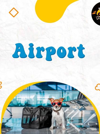 Airport transfers for pets are one of my key services. I ensure timely pickups and drops for a smooth travel experience.
