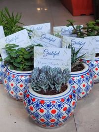 Corporate & Event Gifting