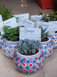 Corporate & Event Gifting