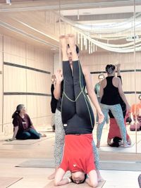 Specialized Yoga Workshops