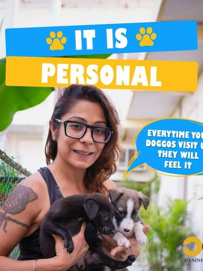 It is personal. Every time your doggos visit us, they will feel the love and personalized attention that makes them feel right at home.