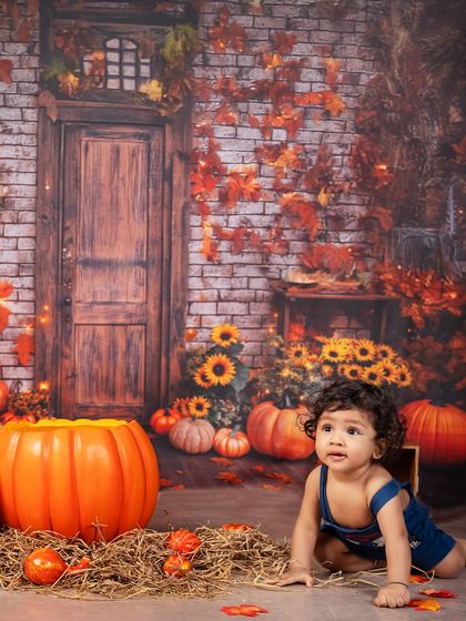 Exploring the pumpkin patch. This curious crawler is checking out the autumn decor in our cozy, rustic pumpkin-themed setup.