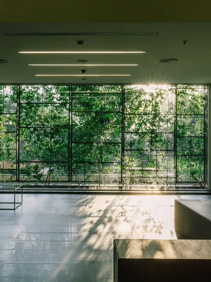 Inside the KMC Headquarters, the green facade becomes a living wall of art. This tranquil view from a lounge area shows how I design workspaces that connect employees with nature, fostering well-being and calm throughout the workday.