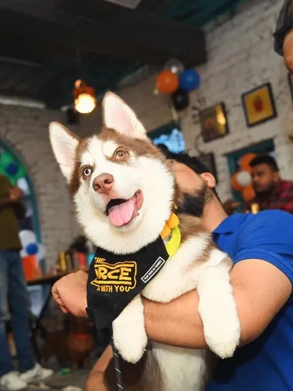 A big hug for a beautiful husky! The joy is evident on both their faces. We love seeing these heartwarming interactions.