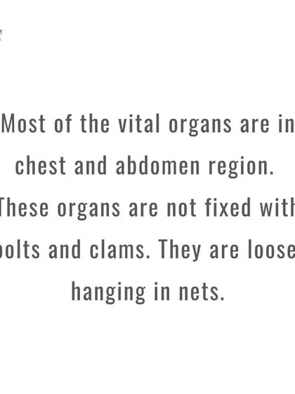 Most of your vital organs are in your chest and abdomen, hanging in nets. When you slouch, you compress them, hindering their function. An erect posture gives them the space they need.