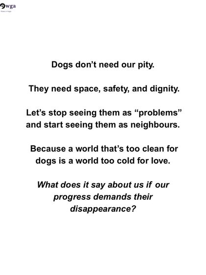 Dogs don't need our pity. They need space, safety, and dignity. Let's see them as neighbors, not problems.