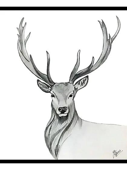 A majestic deer sketched with pencil. I focused on the powerful antlers and the gentle gaze to create a portrait that feels both royal and wild.