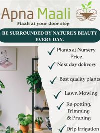 Garden & Plant Maintenance
