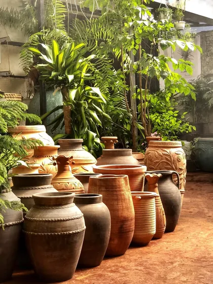 We are crazy proud of our gorgeous collection of terracotta pots. From small tabletop sizes to massive urns, we have a huge variety of rustic, earthy planters to choose from.