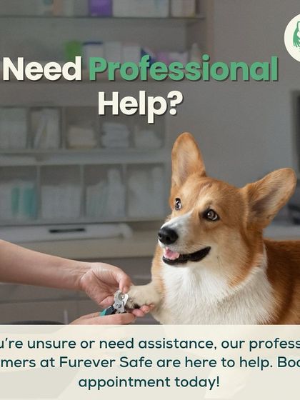 Furever Safe - Mobile Pet Grooming Expert Tips for Pet Parents photo 7
