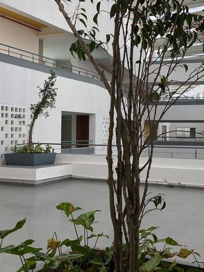 Mindspace - Multi-Family Residential Architecture Designing for Dignity and Active Aging photo 16