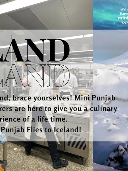 Mini Punjab flies to Iceland. This graphic announces our global capabilities, assuring clients that we can bring a world-class culinary experience to any corner of the globe.