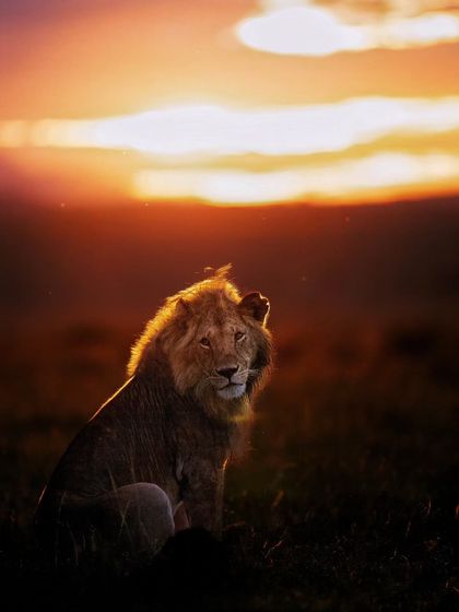 The Art of Seeing: Creative Compositions photo 5