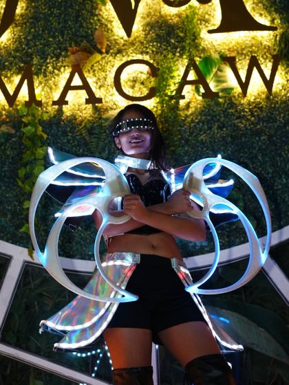 IndieFlow - Fire, LED & Pyrotechnic Shows Additional Work photo 9