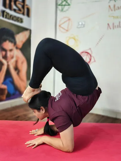 The scorpion pose in forearm stand (Vrischikasana) is a pinnacle of balance, strength, and flexibility.