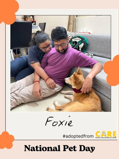 Charlie's Animal Rescue Centre - Animal Rescue & Adoption Happy Tails: Our Adoption Stories photo 11