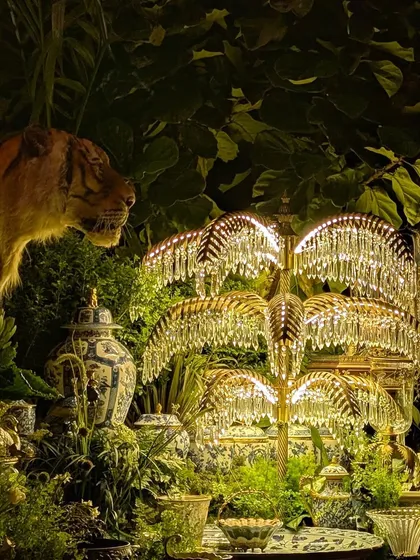 The interplay of light and shadow was key to the Sabyasachi decor. Here, a crystal lamp illuminates a collection of blue and white porcelain vases and a tiger statue, all surrounded by a dark, dense wall of our carefully selected foliage.
