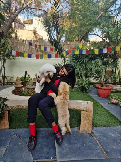 A playful moment with Archie and Columbus in our garden. A positive and fun environment is part of our approach to both grooming and training.