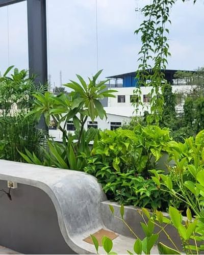 Garden Design & Installation
