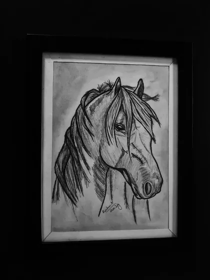 A simple but expressive pencil sketch of a horse's head.